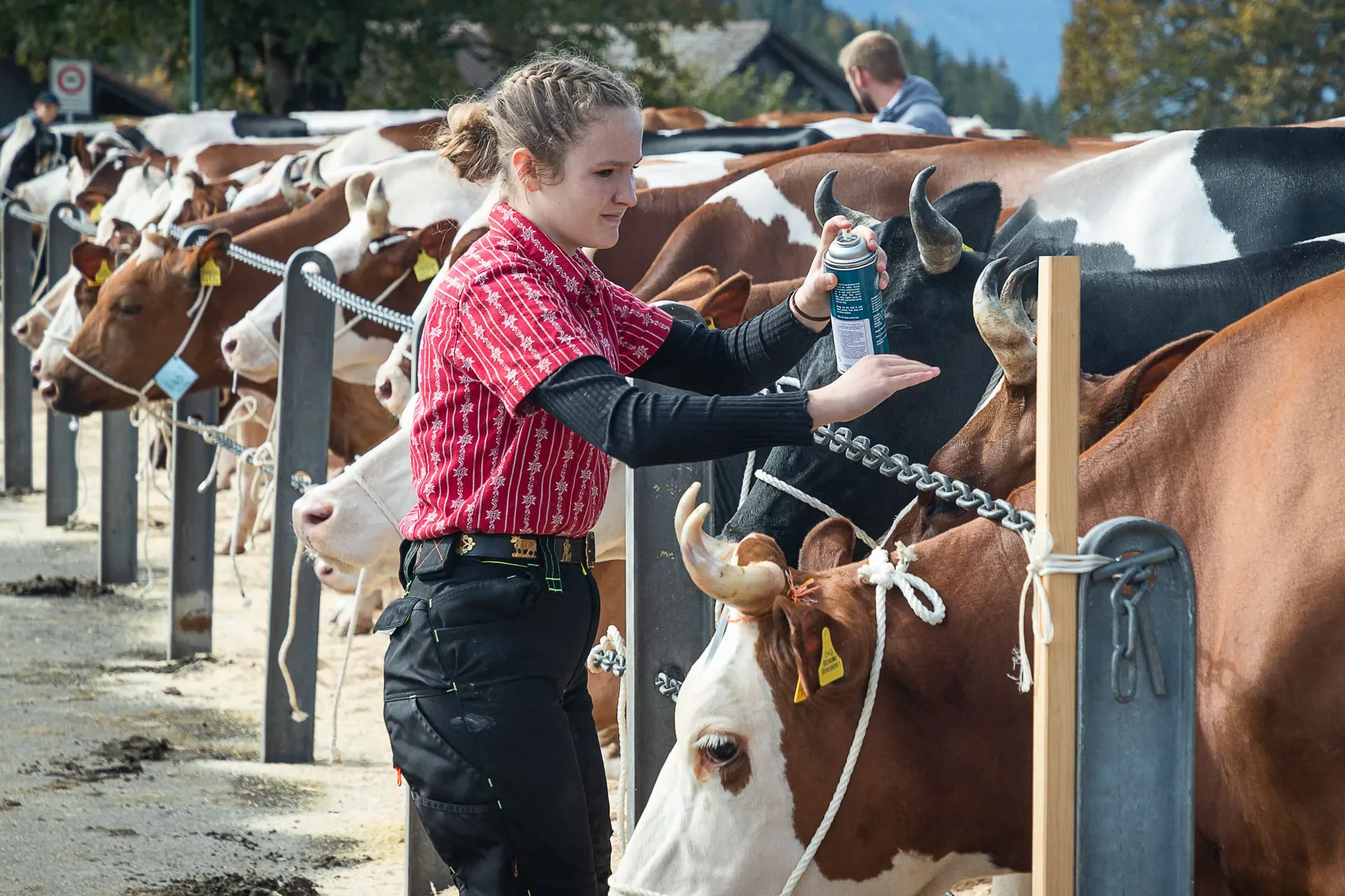 und noch einmal schöner