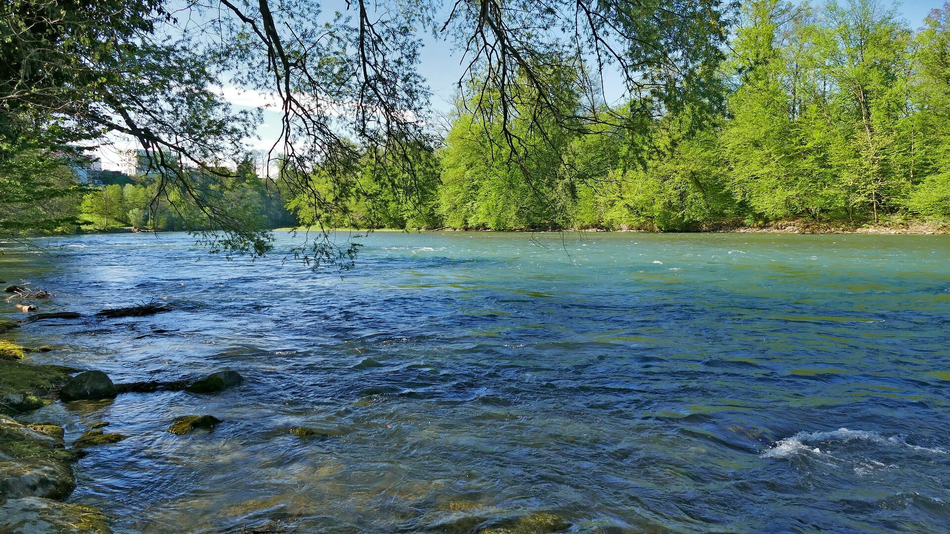 Alternativer Text, in Dateiverwaltung eingeben