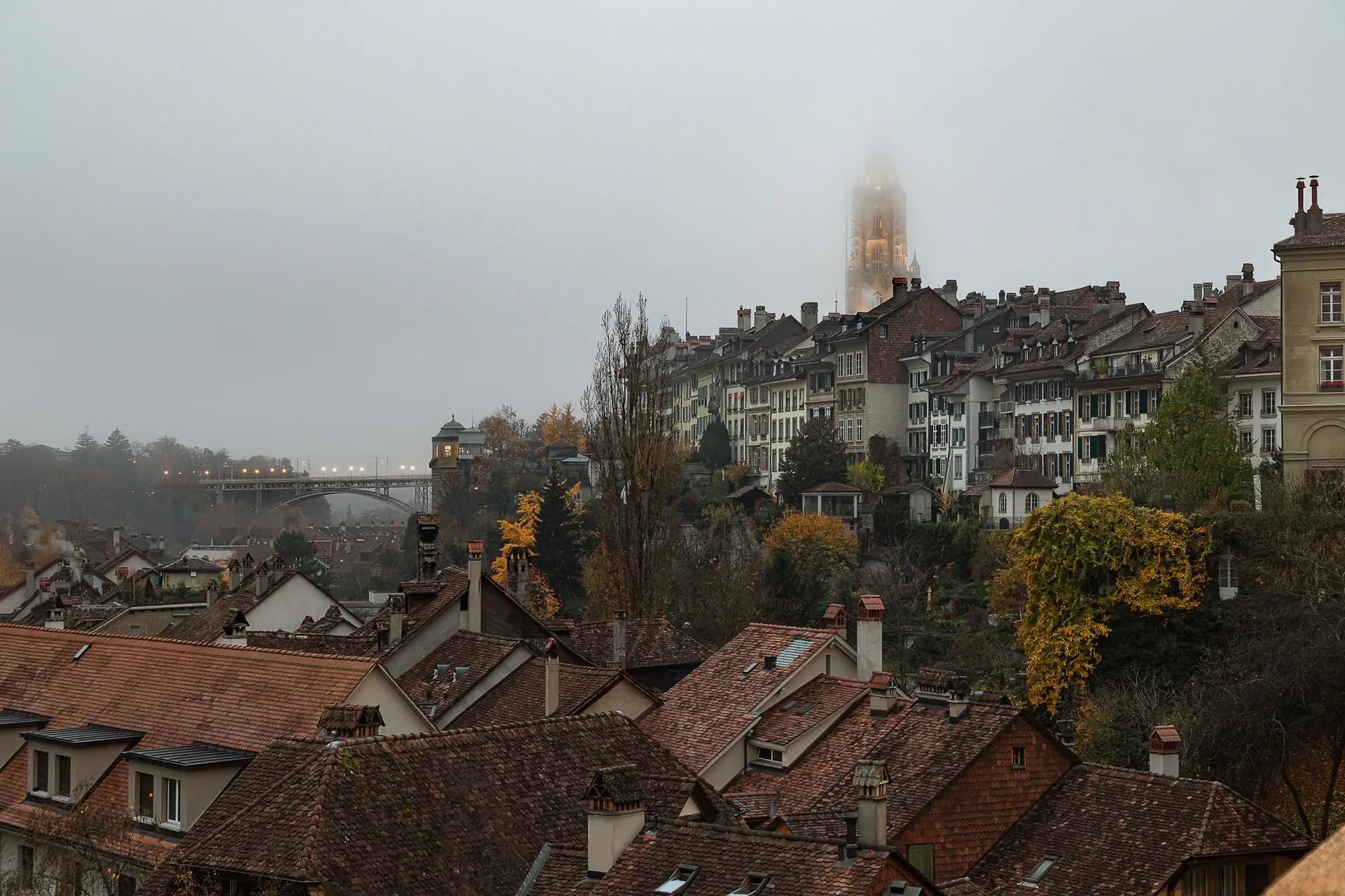 Altstadt mit Münster im Dunst