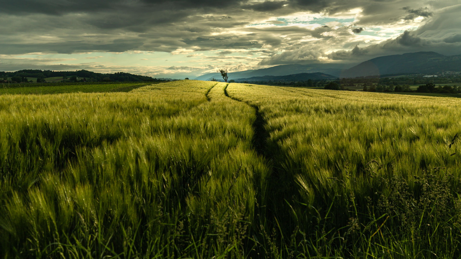 gerstenfeld_abendstimmung