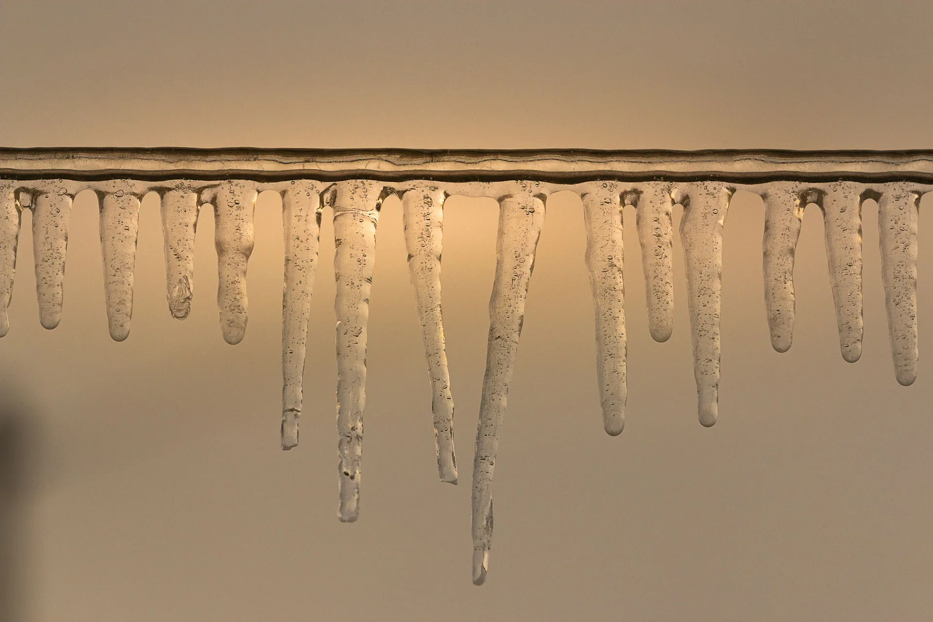 Der aus der Reihe tanzt