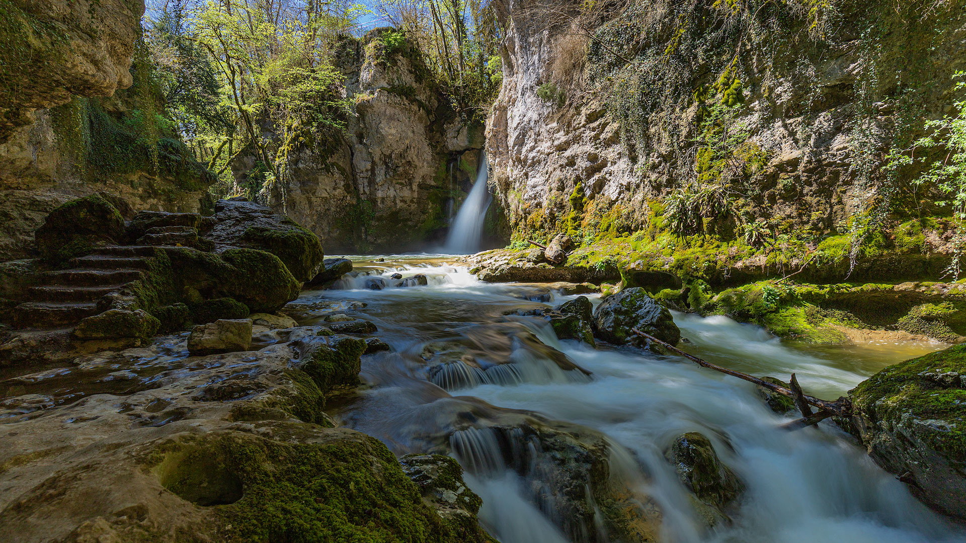 tine-de-conflense_01