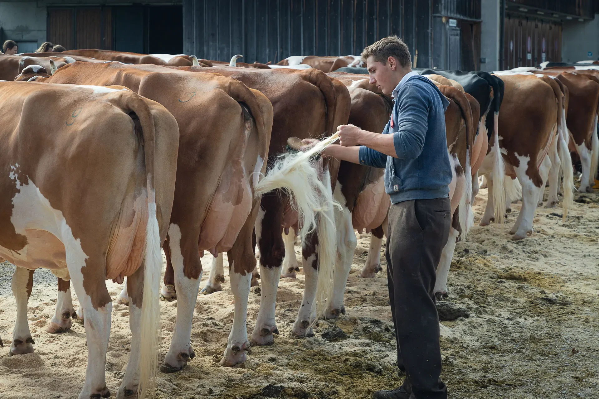 Ich mache sie schön